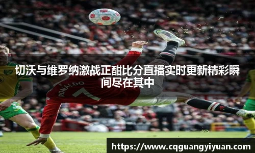 新利体育