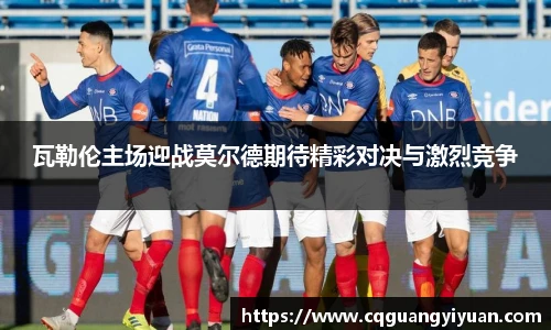 新利体育